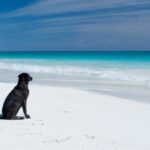 Look to the Riviera Maya for the Best Resort Rental Deal Right Now