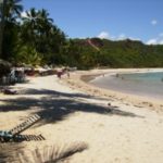 For One Member Only: A Strong Yield Situation in Brazil