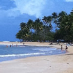 The Properties Everyone Wants - Near the Beaches Everyone Visits