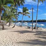 Notes From the D.R. - “I've Never Seen Anything Like It!”