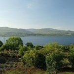 Irish Real Estate: Who's Buying, What it Costs