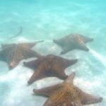 You Are Invited on a Trip to the Caribbean